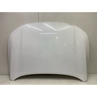 капот Exeed LX 2019-2024 509000117AADYJ