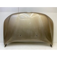 капот RENAULT DUSTER 2 2020-2025 651003244R