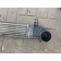 724|Интеркулер 90|Mercedes 412870|S W220 2001 2205000000