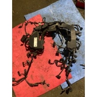 Проводка двигателя Mercedes-Benz S-класс W222/C217/A217 (2013—2017) Mercedes-Benz S-класс W222/C217/A217 (2013—2017) W222 2016 A6421504601