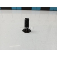 Болт распредвала VAG Jetta (2006 - 2011) 06D109281D