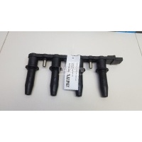 Рампа (кассета) катушек зажигания TRW Zafira B (2005 - 2012) DMB939