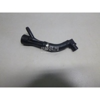 Клапан обратный Land Rover Range Rover III (LM) (2002 - 2012) LKN000020
