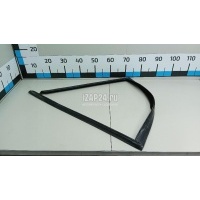 Уплотнитель стекла двери BMW X5 E70 (2007 - 2013) 51357305632