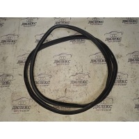 уплотнитель двери BMW X5 E70 2007-2013 2007 51767333814