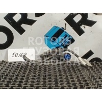 Проводка двигателя MAN TGX 2021 81254596962