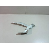 Петля капота левая Citroen-Peugeot 308 I (2007 - 2015) 7912C8
