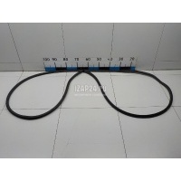 Уплотнитель двери VAG Tiguan (2007 - 2011) 5N0837702A5AP
