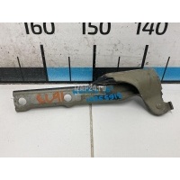 Петля капота левая VAG Tiguan (2007 - 2011) 5N0823301A