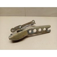 Петля капота левая VAG Octavia (A5 1Z-) (2004 - 2013) 1Z0823301C