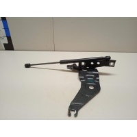 Петля капота левая BMW X6 E71 (2008 - 2014) 41007198617