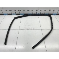 Уплотнитель стекла двери Ford Ranger (2006 - 2012) 1452755