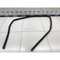 Уплотнитель стекла двери Ford Ranger (2006 - 2012) 1452732