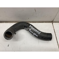 Патрубок радиатора Ford Ranger (2006 - 2012) 5031512