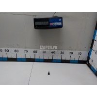 Гайка VAG Q5 [8R] (2008 - 2017) 4L0945230A