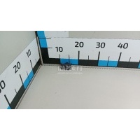 Кронштейн датчика парковки VAG A5/S5 [8T] Coupe/Sportback (2007 - 2016) 8T0919267A1QP