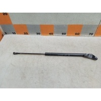 Амортизатор багажника Toyota Corolla CDE120,NDE120,ZZE120 2002 6895002041