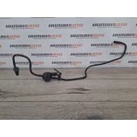 Клапан вентиляции топливного бака Ford Focus 2 2010 1669555, 3M519D289AF, 1669555, 1252151, 1254916