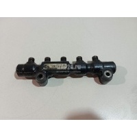 Рейка топливная (рампа) Ford 308 I (2007 - 2015) 1447993