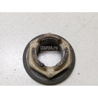 Гайка передней ступицы Ford Kuga (2008 - 2012) 1008849
