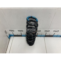 Пружина задняя BMW X1 E84 (2009 - 2015) 33536790120