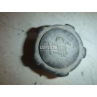 Крышка расширительного бачка Renault Modus (2004 - 2012) 8200048024