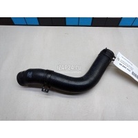 Патрубок радиатора Hyundai-Kia i20 (2008 - 2014) 254111J100