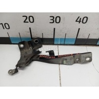 Петля капота левая Hyundai-Kia Sorento II (2009 - 2020) 791102P000