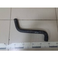 Патрубок Hyundai Hyundai Accent (LC, Tagaz) 2000-2012 2541225000