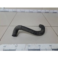 Патрубок радиатора охлаждения Nissan Nissan Maxima (A32) 1995-2000 ST2150331U10