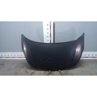 Капот OPEL CORSA (2014) 2015 1160083, 1160092, 13432306, 13484444