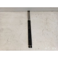 Амортизатор крышки багажника (3-5 двери) Renault Grand Scenic 3 2013  904517337R