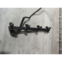 Топливная рампа Renault Megane 2 1999 8200139674C,4197B05274