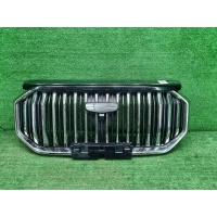 Решетка радиатора Geely Okavango (2023-н.в.) Geely Параметр: Модель 2023 6608129264