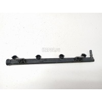 Рейка топливная (рампа) Renault Sandero (2009 - 2014) 8200494284