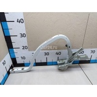 Петля крышки багажника Renault Fluence (2010 - 2017) 844017970R