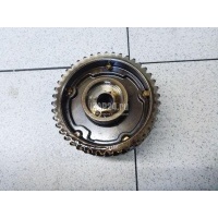 Механизм изменения фаз ГРМ Renault Megane III (2009 - 2016) 130253326R