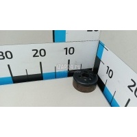 Шкив водяного насоса (помпы) Renault Scenic III (2009 - 2015) 210518358R