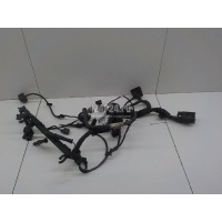 Проводка (коса) VAG Amarok 2010 2H0971078AB