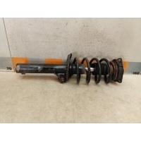 Амортизатор передний Volkswagen Passat B6, 3C2 2005 3C0413031BA