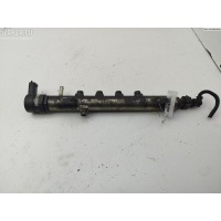 Рампа (рейка) топливная Opel Signum 2005 028100507