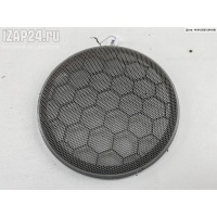 Сетка (решетка) динамика Зад. Прав. Volkswagen Passat B5+ (GP) 2001 3B0868149