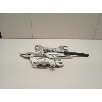 Петля капота левая BMW 3-serie F30/F31/F80 (2011 - 2020) 41617286343