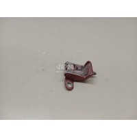 Петля двери багажника Citroen-Peugeot 208 (2012 - 2019) 9801087880