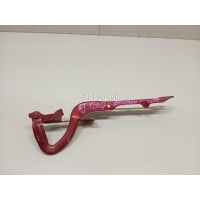 Петля капота правая Citroen-Peugeot 208 (2012 - 2019) 9672864080