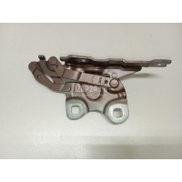 Петля капота левая BMW Countryman R60 (2010 - 2016) 51239805937