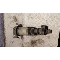 Пневмостойка задняя Audi Q7 4L 2008 7L8616019A