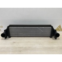 Радиатор интеркулера Exeed TXL M32T 2020-2023 302000507AA