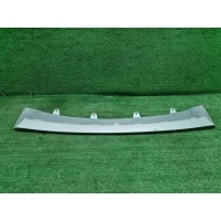 Накладка переднего бампера Bmw X6 F16 (2014-2020) 51117319805