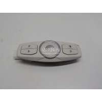 Плафон салонный Ford Kuga (2012 - 2019) 2053618